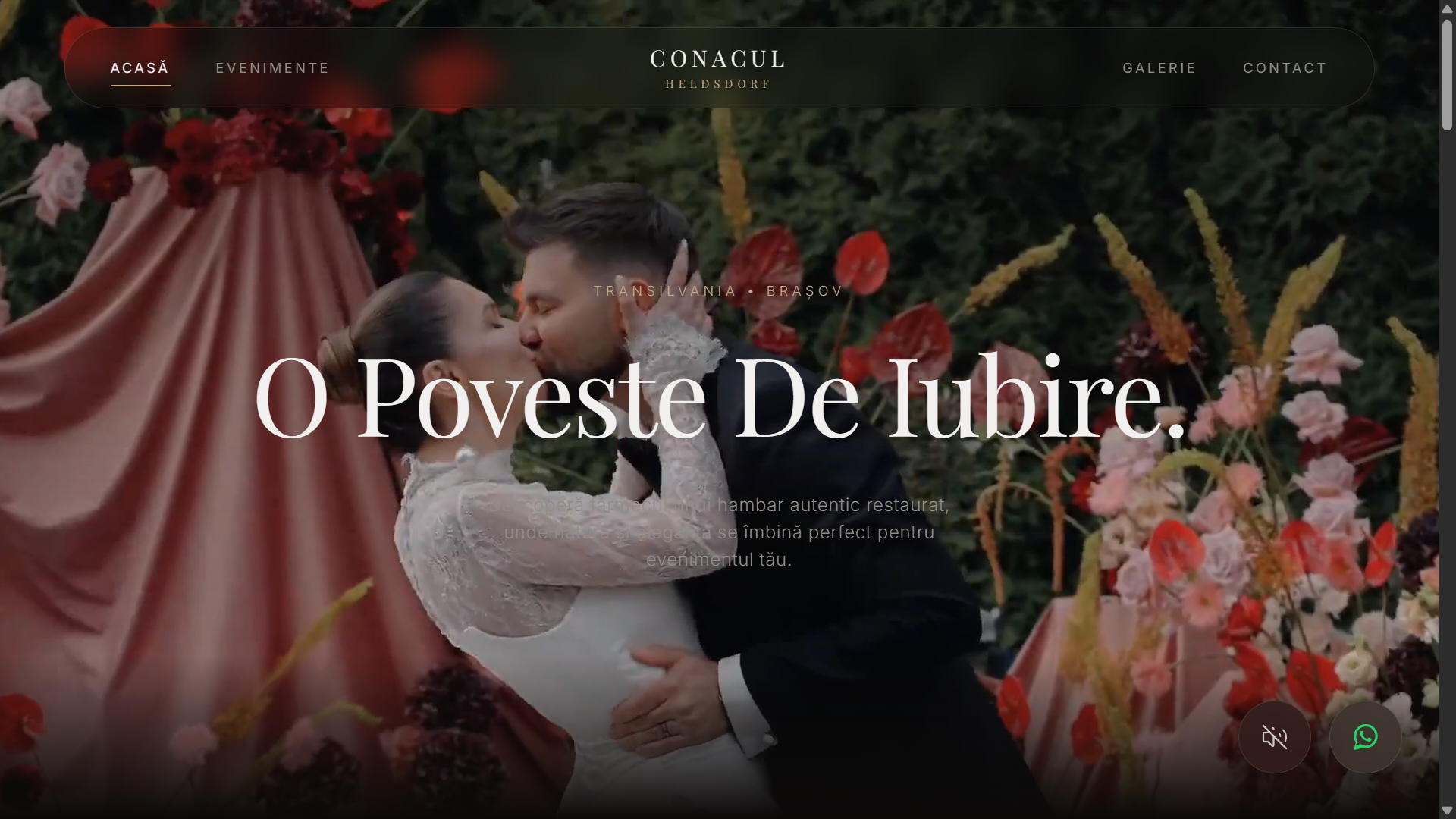 Conacul Heldsdorf — Ospitalitate & evenimente — site realizat de Witting Design